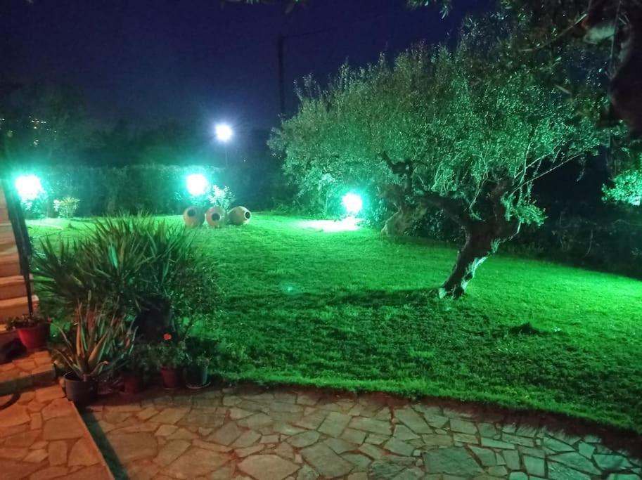 Dimitra's Garden *