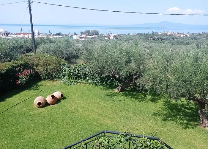 Dimitra\'S Garden