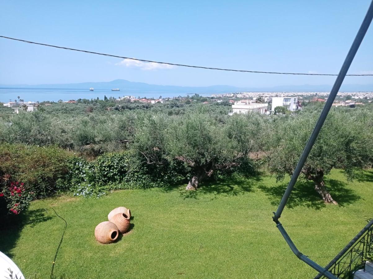 Dimitra's Garden *